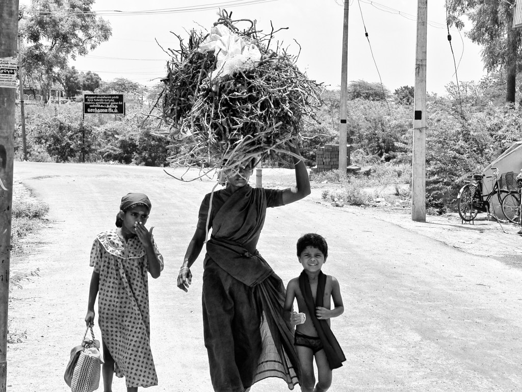 A mother carrying firewood the she picked outside the town, returning home with her kids. Pavali Road, Virudhunagar, India